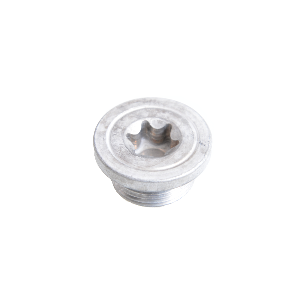 Verschlussschraube WHT 005 623 A Original VW / Audi